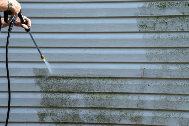 Affordable siding repair and maintenance services in River Road, WA